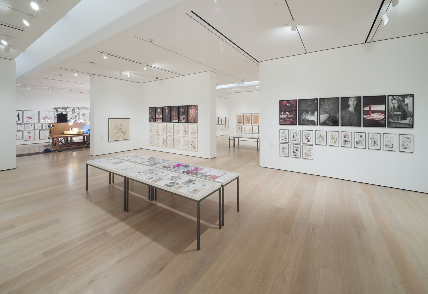 Paul McCarthy: Head Space, Drawings 1963–2019 | Hammer Museum